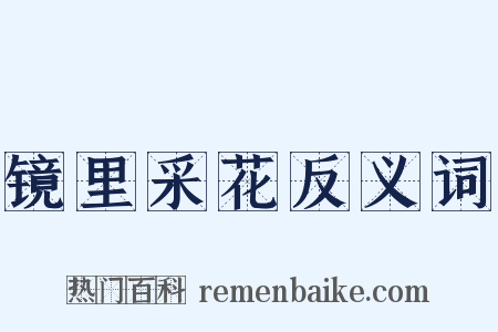 镜里采花反义词是什么意思的图片